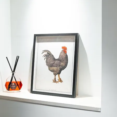 Casa Carde' Apartamento *